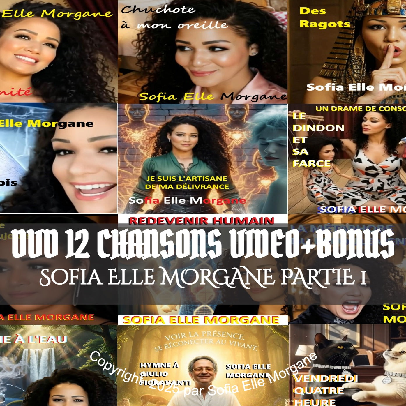 DVD de 12 chansons Vidéo plus Bonus  1e partie d'une collection exclusive pour les fans 49.99